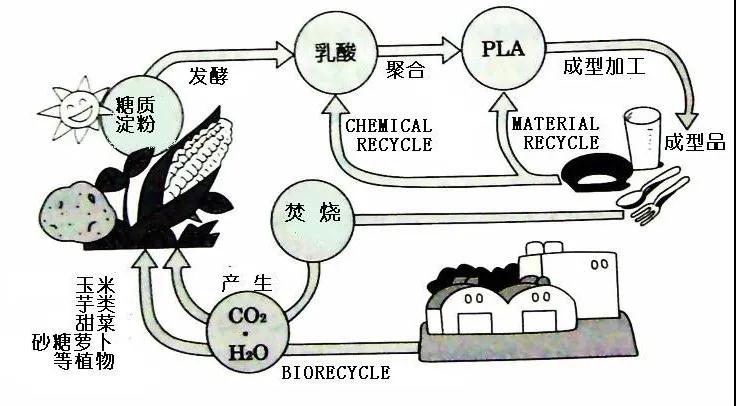 可生物降解環(huán)保塑料可以回收再利用嗎？(圖4)