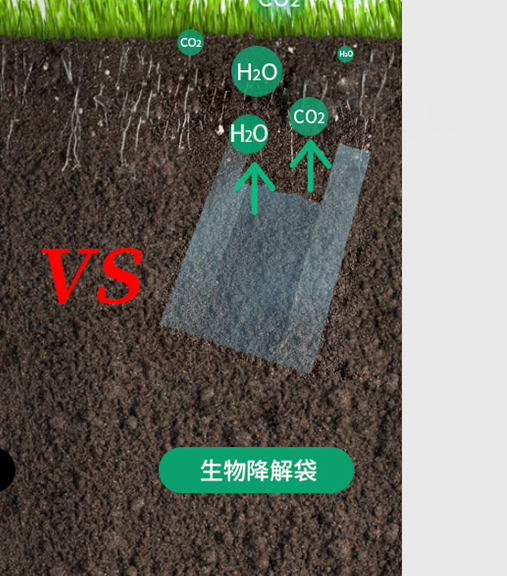 可生物降解環(huán)保塑料可以回收再利用嗎？(圖1)
