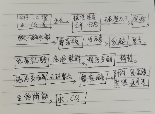 生物降解袋中的PLA是如何制得的？(圖1)