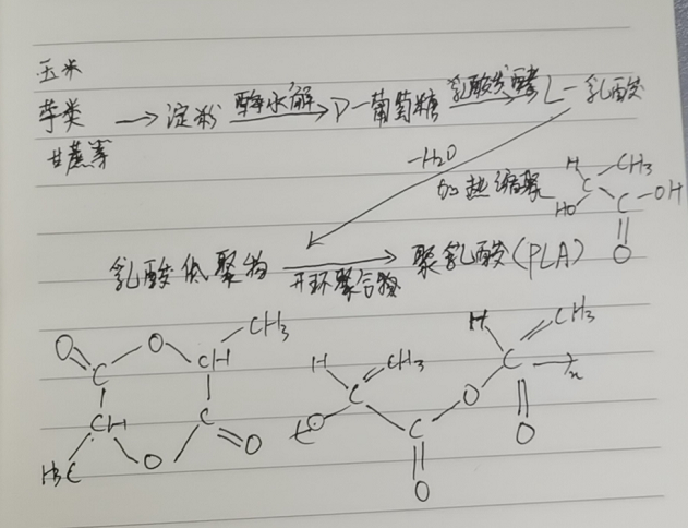 生物降解袋中的PLA是如何制得的？(圖2)